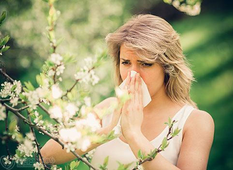 3 чудовищных заблуждения об аллергии