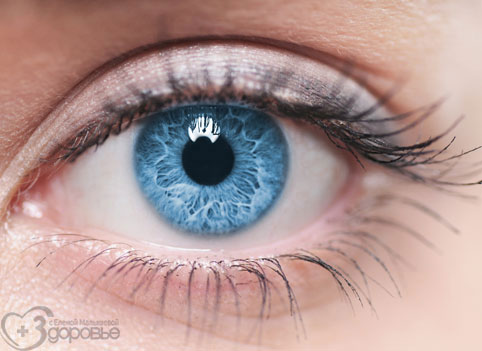 Какой цвет глаз у женщины, такими болезнями и болеет