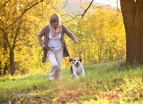 Простые ежедневные прогулки уменьшают риск рака груди