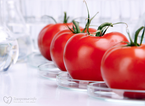 томаты ГМО