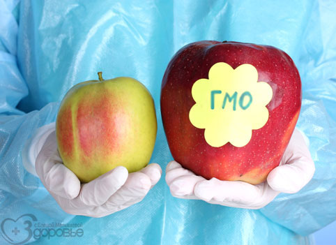 В вопросе ГМО поставлена точка! Есть или не есть?