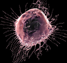 Раковые клетки – лакомство для вирусов